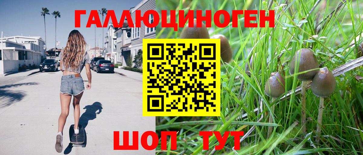 Псилоцибиновые грибы Magic Shrooms  Вход с VPN  Тобольск  Галлюциногенные грибы Psilocybine cubensis 